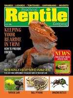 Practical Reptile Keeping
